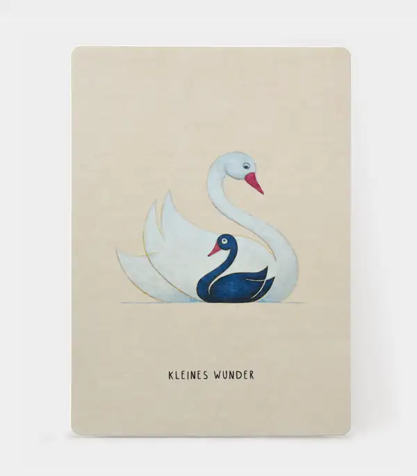 Kleines Wunder Schwan